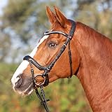 Kieffer Trensenzaum, Trense Ultrasoft© Amy anatomisch geschnitten Größe Warmblut, Farbe...