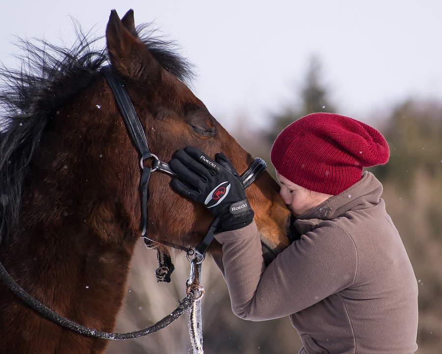 Pferd und Reiterin